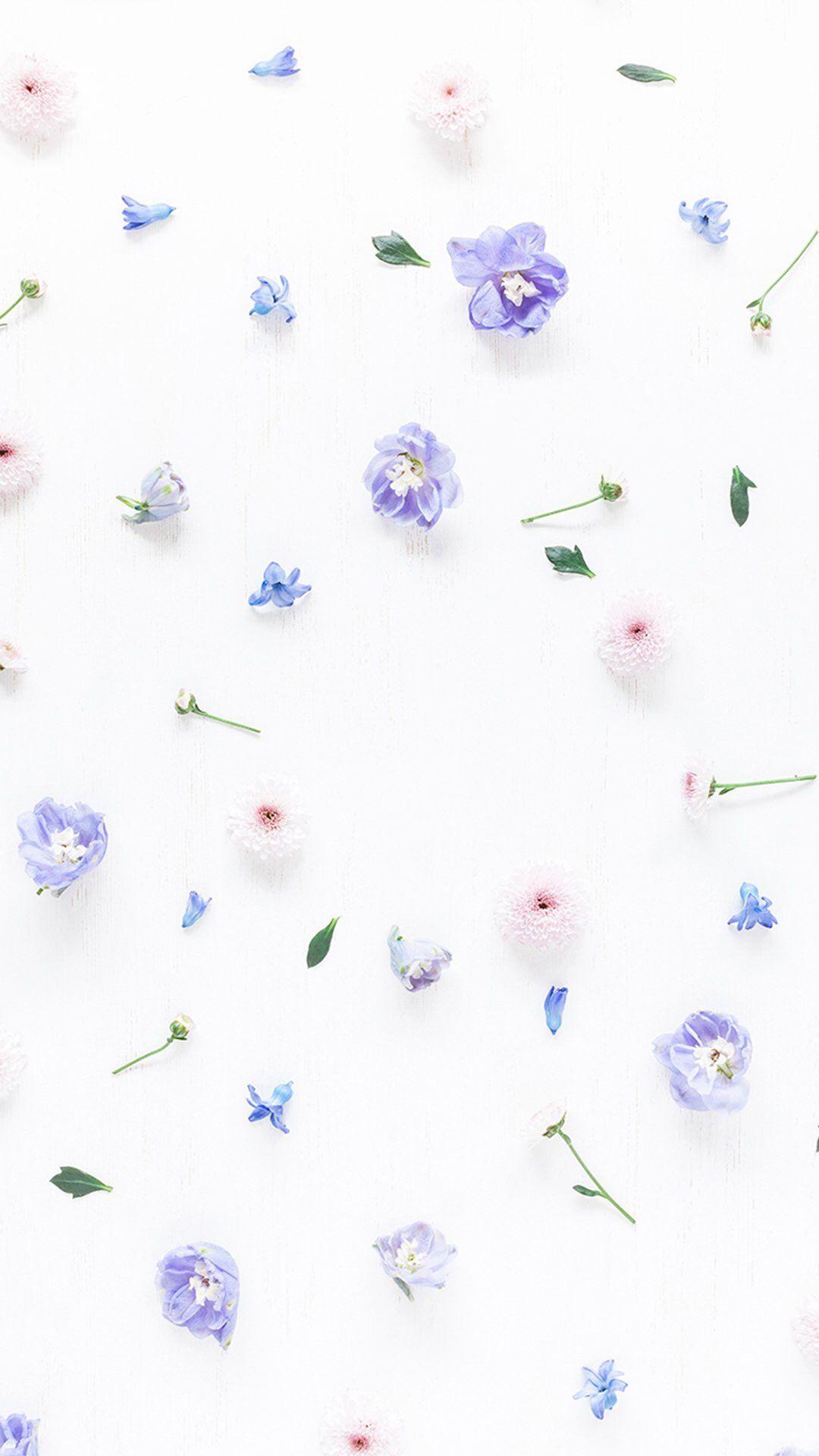61+ Floral Spring iPhone Wallpapers: HD, 4K, 5K for PC and Mobile |  Download free images for iPhone, Android