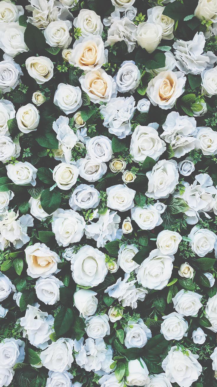 736x1308 Floral Roses Hình Nền iPhone By Preppy Wallpaper - iPhone