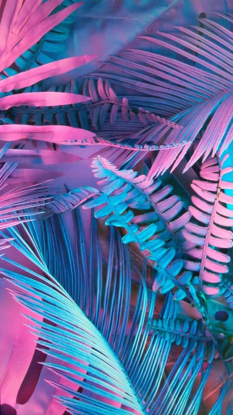 Pastel HD iPhone Wallpapers Top Free Pastel HD iPhone Backgrounds
