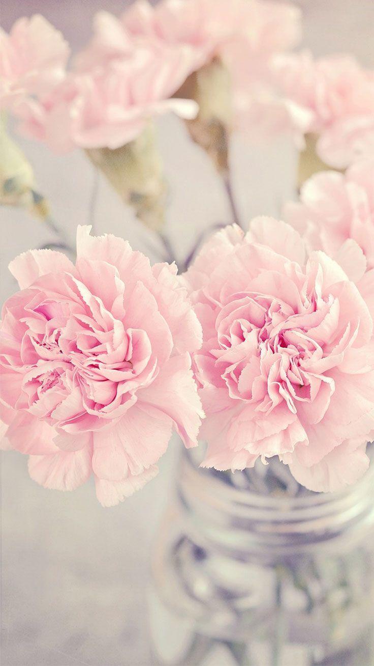 736x1308 Pretty Pink Flowers, Pastel, Wallpaper, iPhone, Background