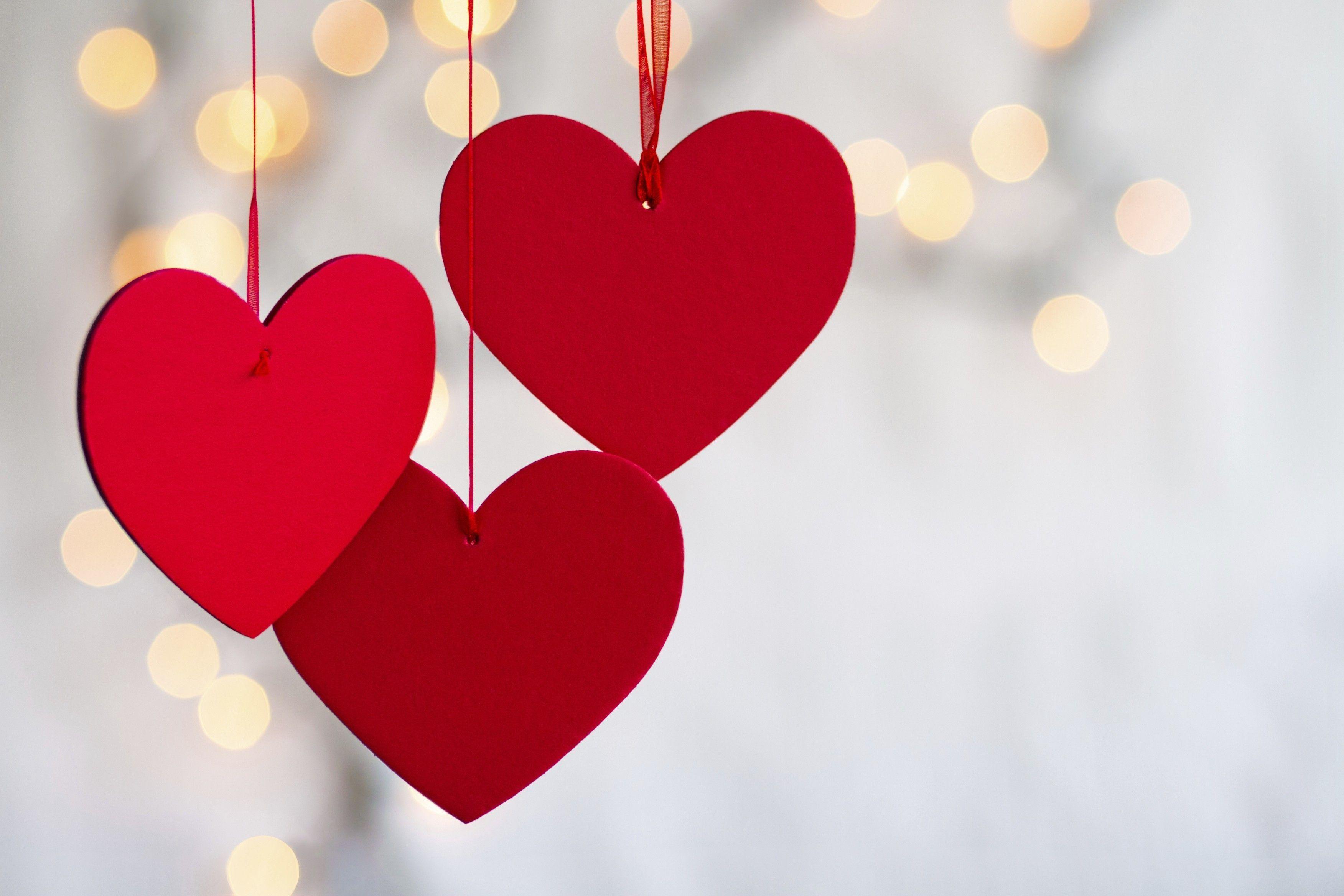 3504x2336 Valentines Day Computer Wallpaper, Free Stock Wallpaper