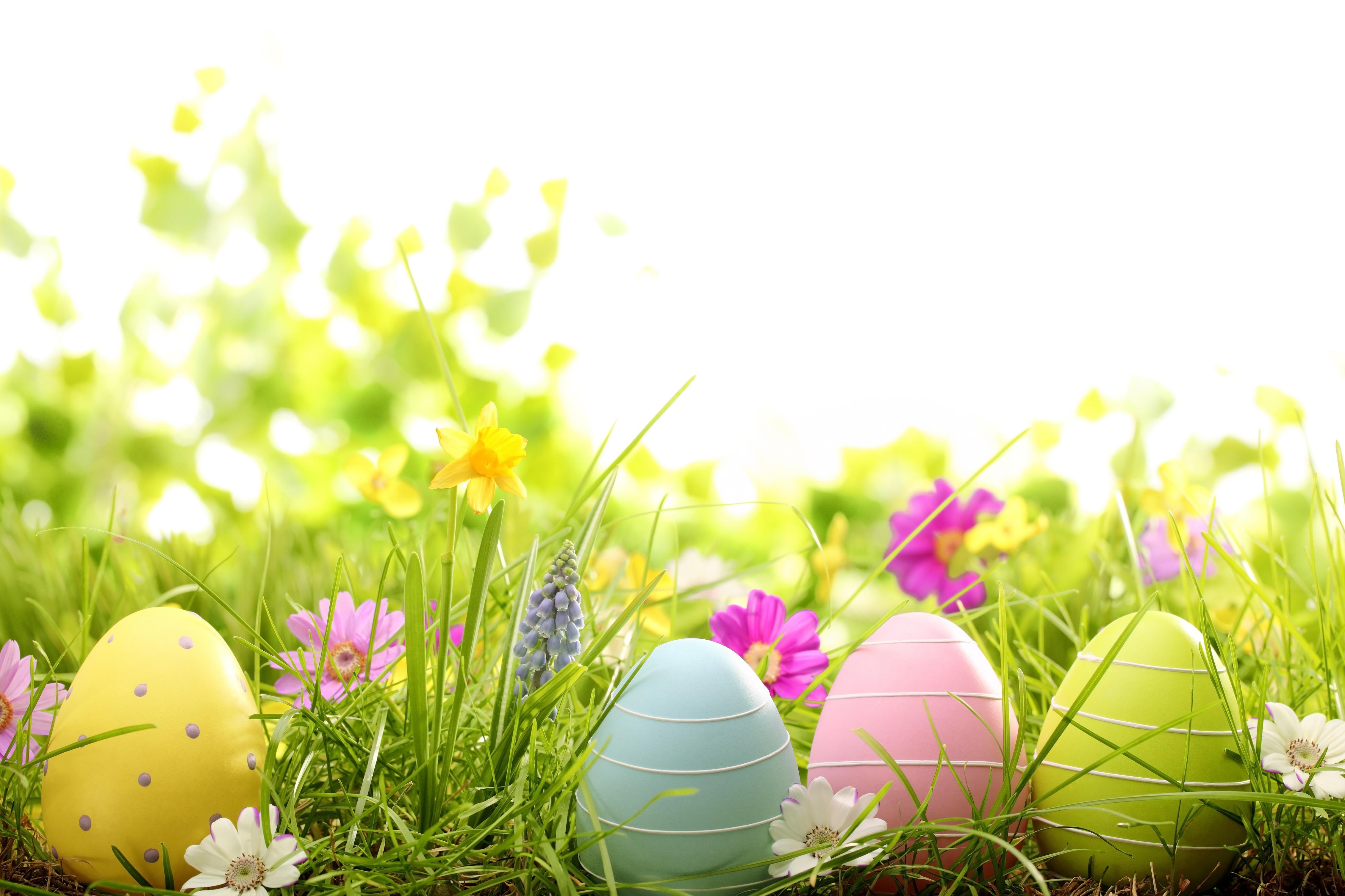 4520x3013 Tải xuống miễn phí Thư viện cho gt Pastel Easter Eggs Background