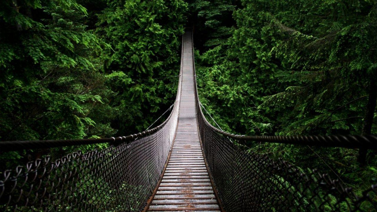 1280x720 Jungle Rope Bridge HD Desktop Wallpaper