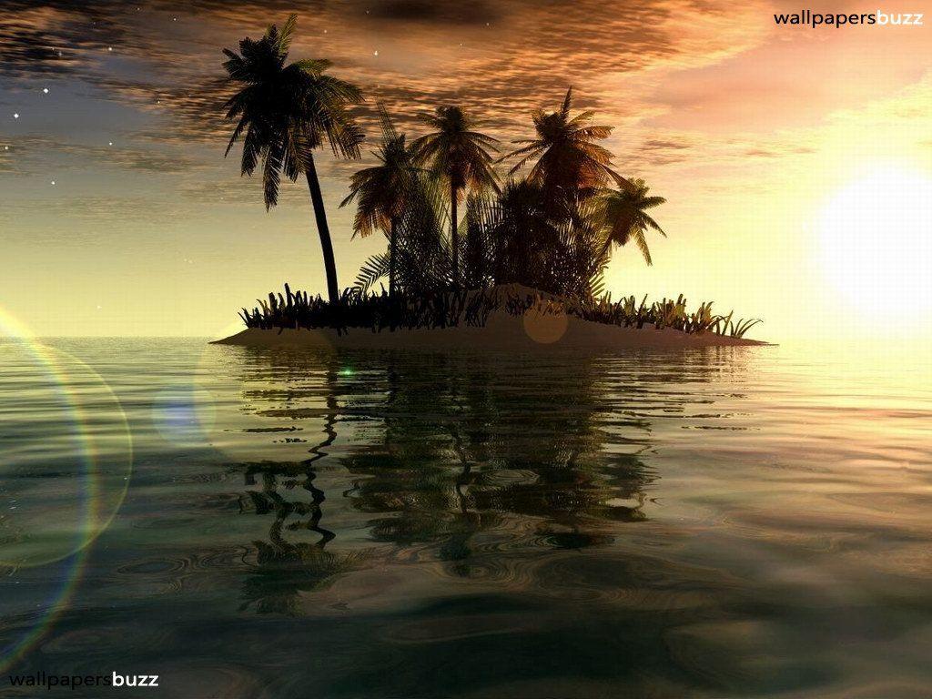 1024x768 wallpaper: ocean wallpaper Ocean Life desktop wallpaper picture