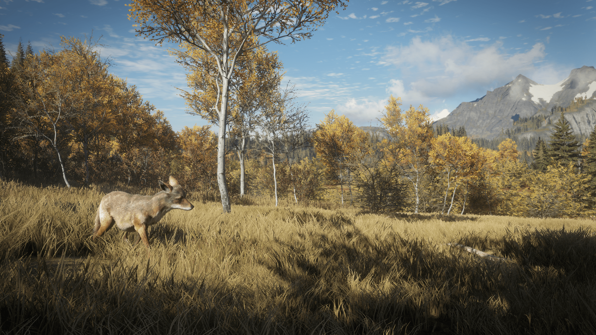 1920x1080 TheHunter: Call Of The Wild HD Wallpaper and Background