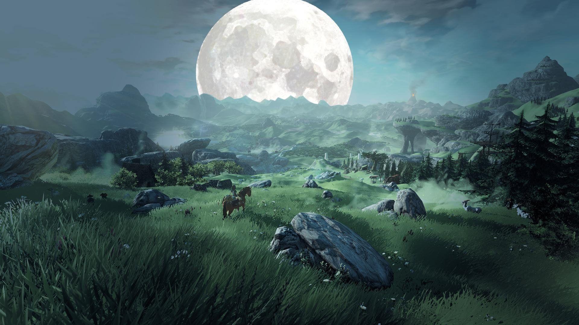 1920x1080 Wild Scenery Wallpaper
