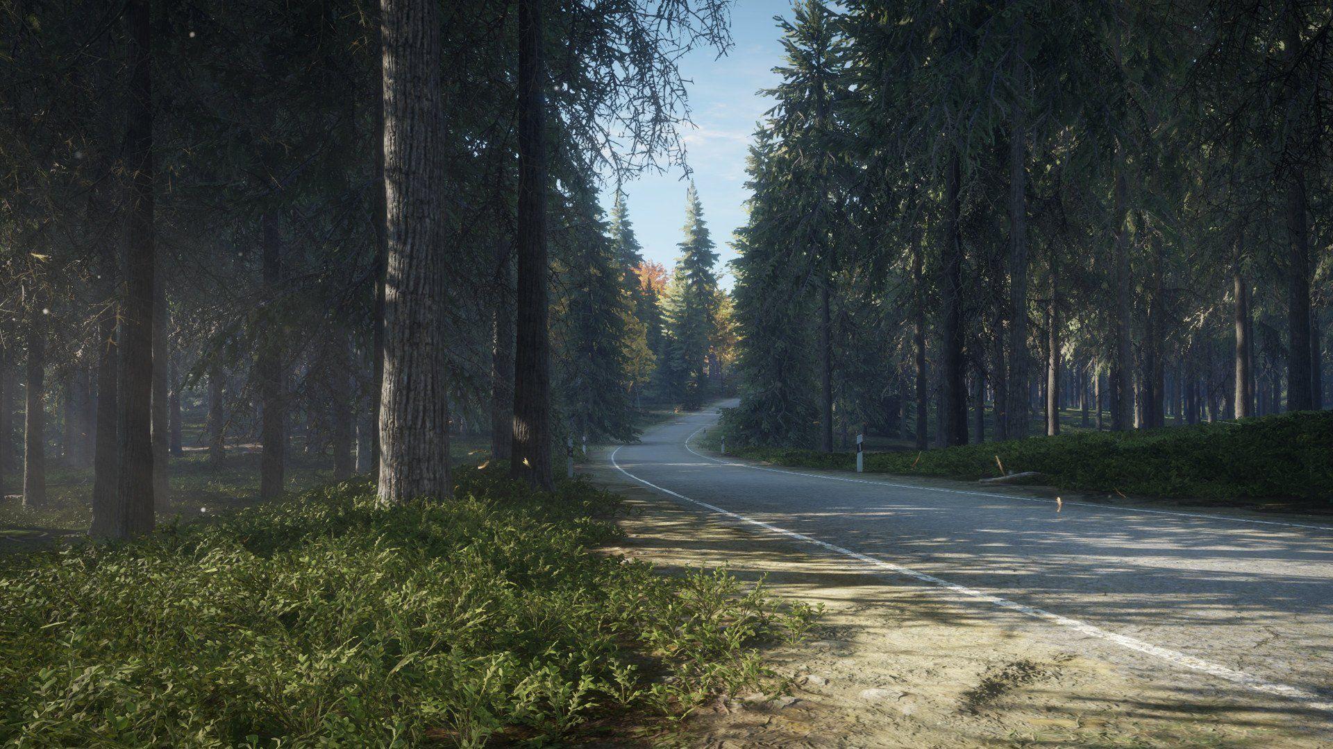 1920x1080 TheHunter: Call Of The Wild HD Wallpaper and Background