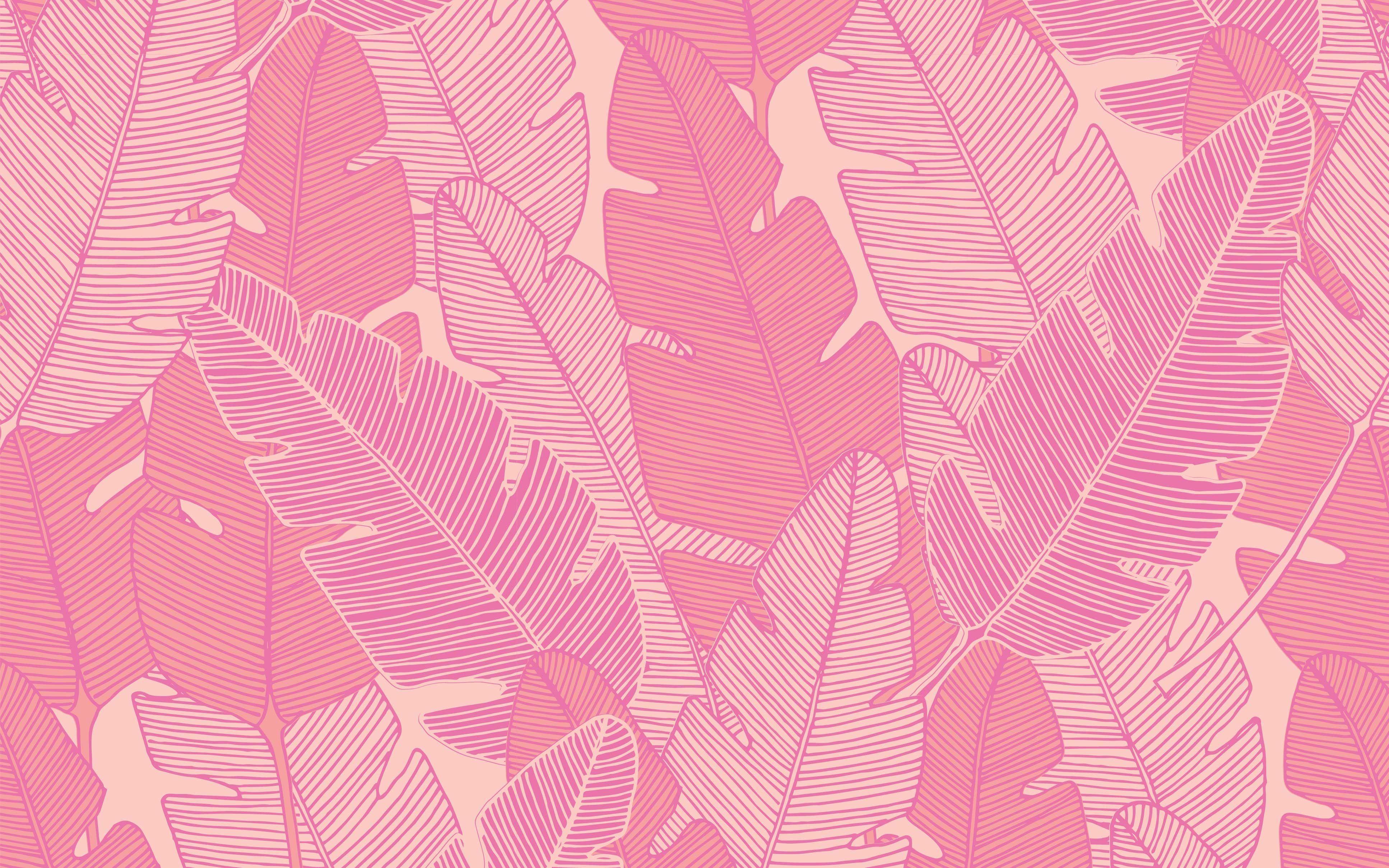 Pink Laptop Wallpapers Top Free Pink Laptop Backgrounds WallpaperAccess