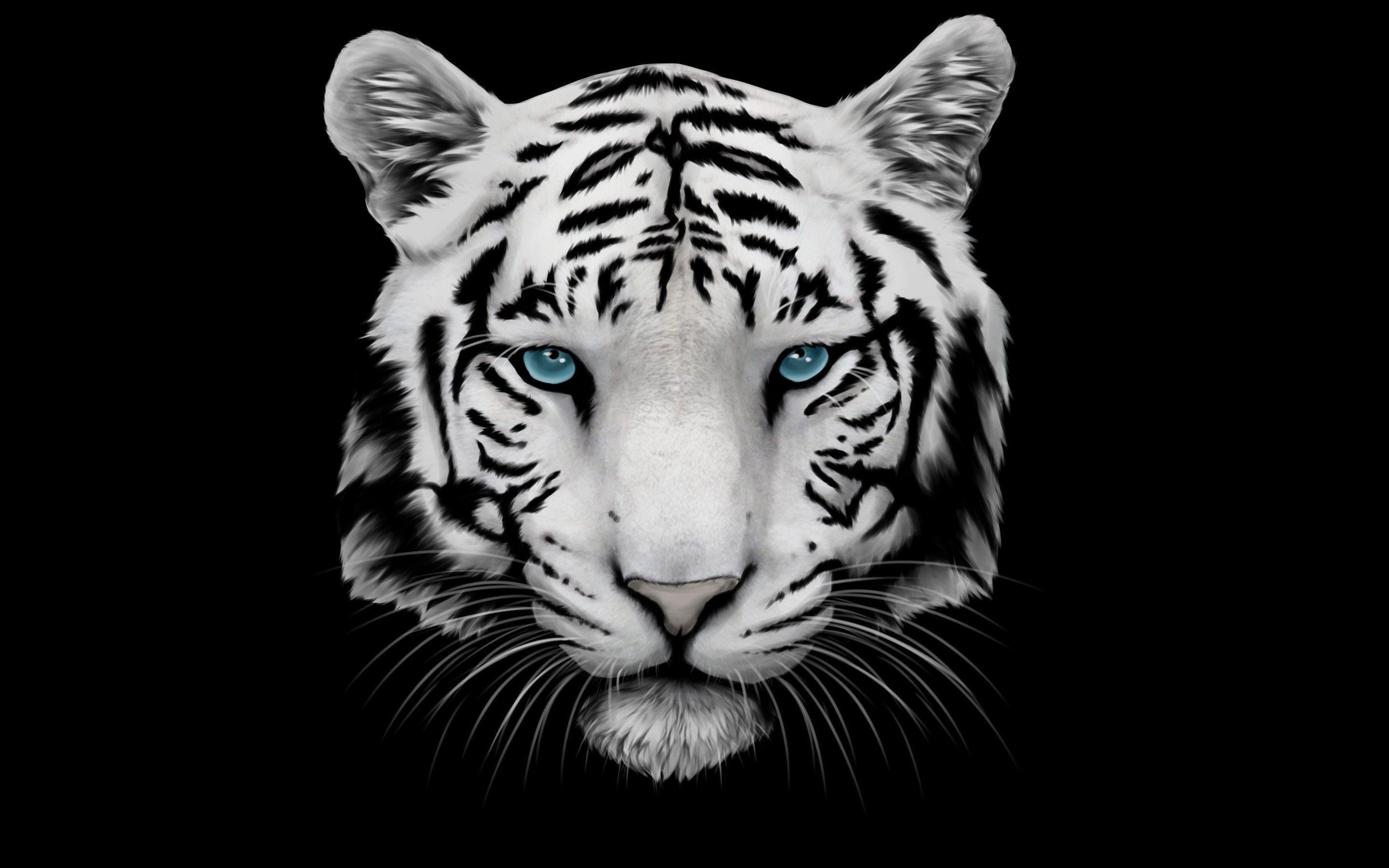 2880x1800 Black and White Dragon Wallpaper