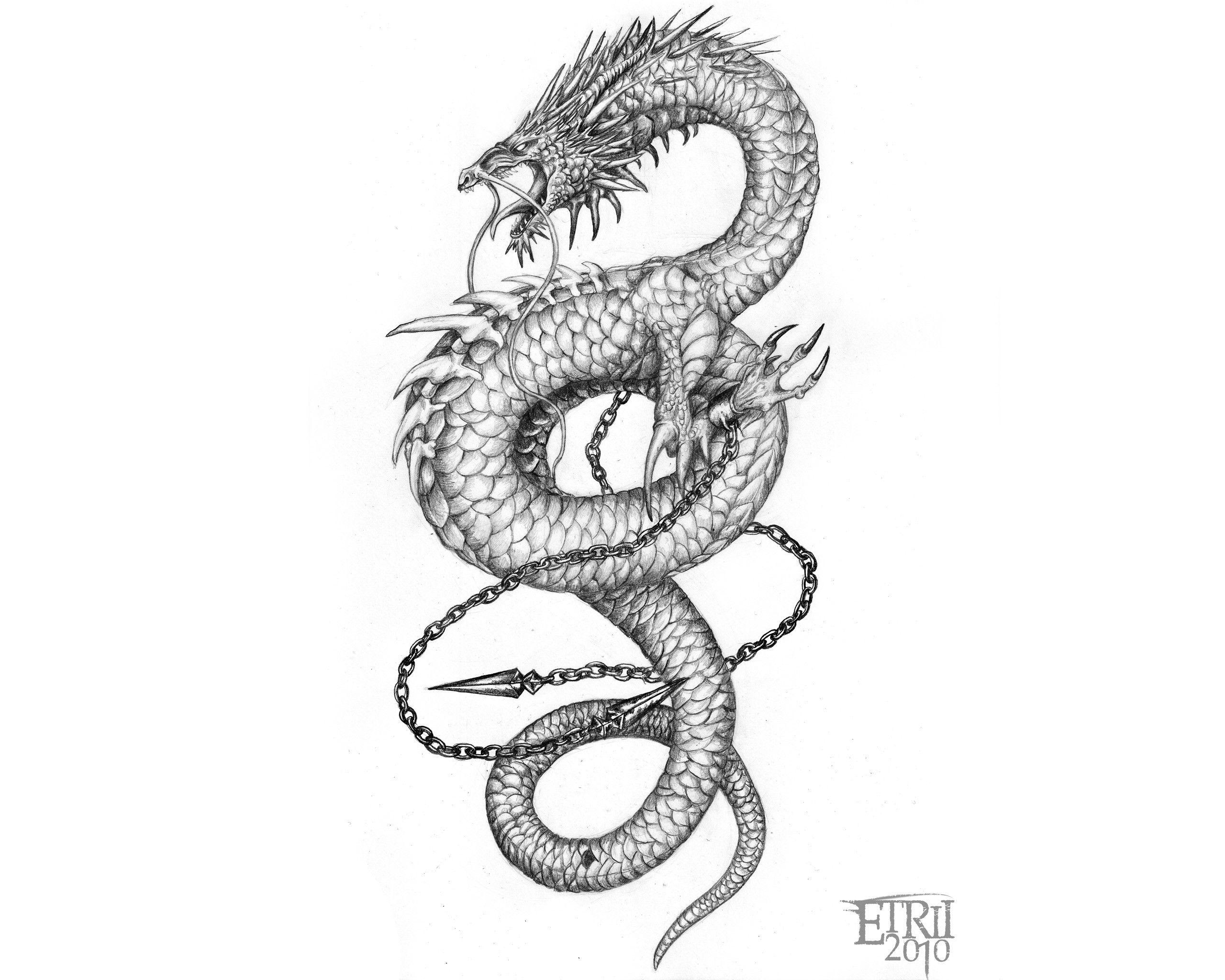 2560x2048 Asian Dragon Wallpaper