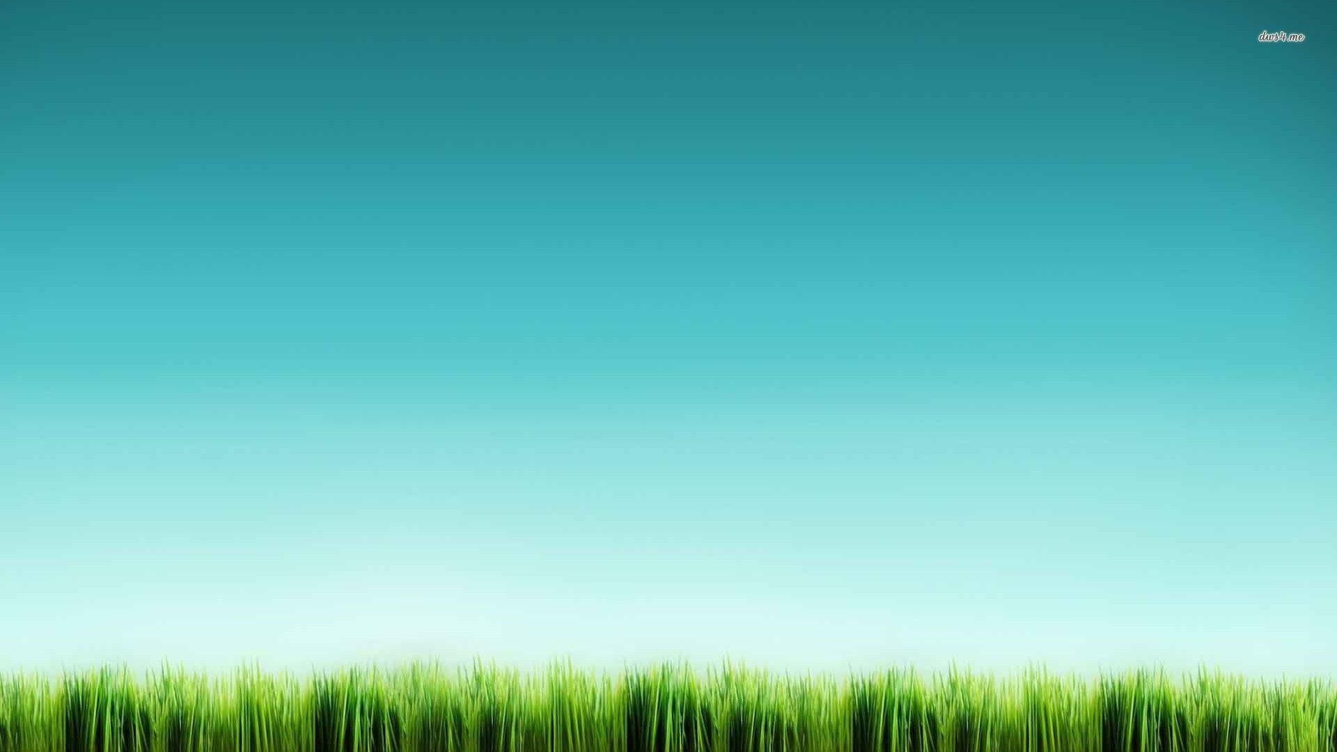 1920x1080 Grass Sky hình nền
