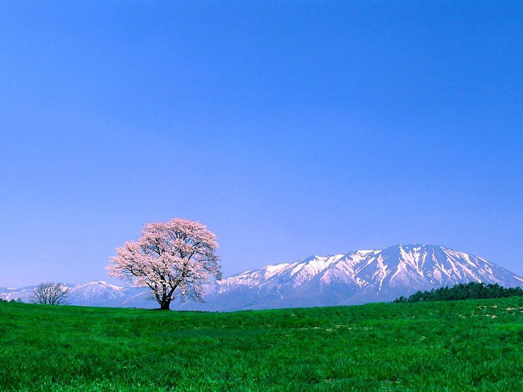 1024x768 Sky: Nature Landscape Landscap Sky Clear Skies Wallpaper cho HD 16: 9