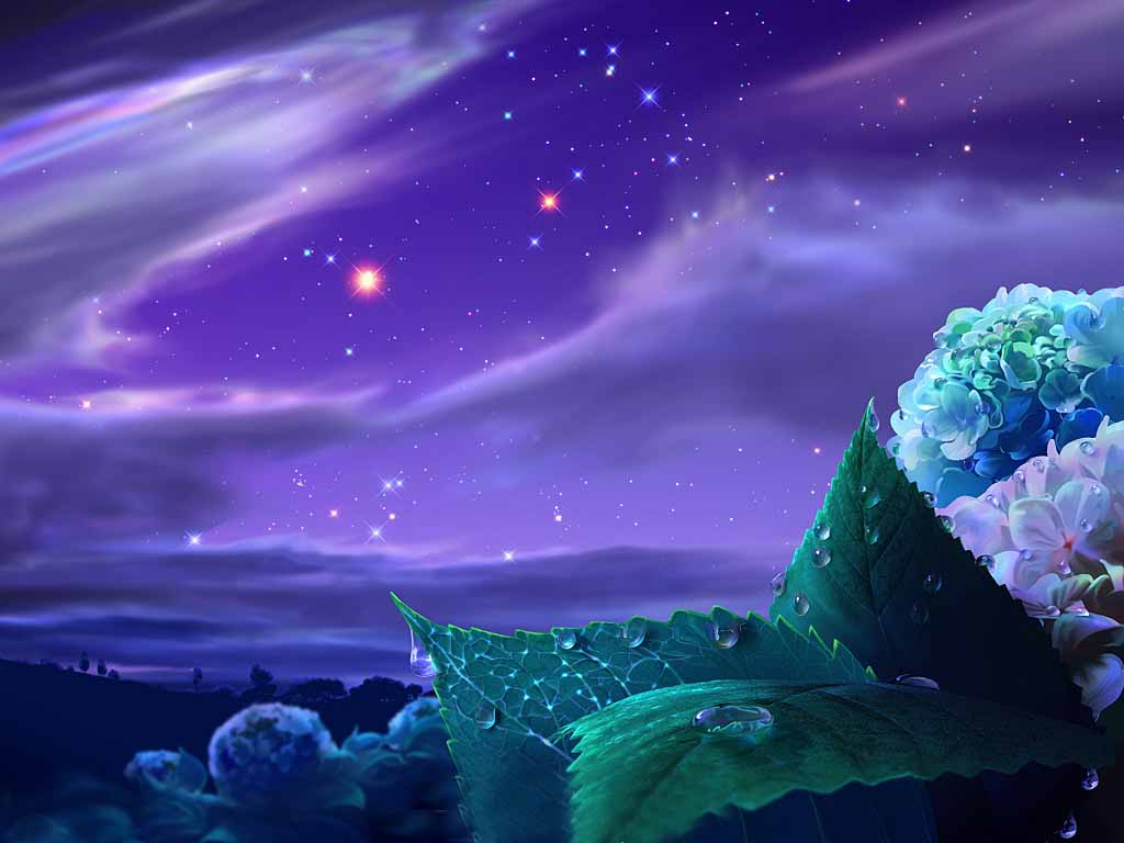 1024x768 Free download 3D night wallpaper 3D Wallpaper Box 1024x768