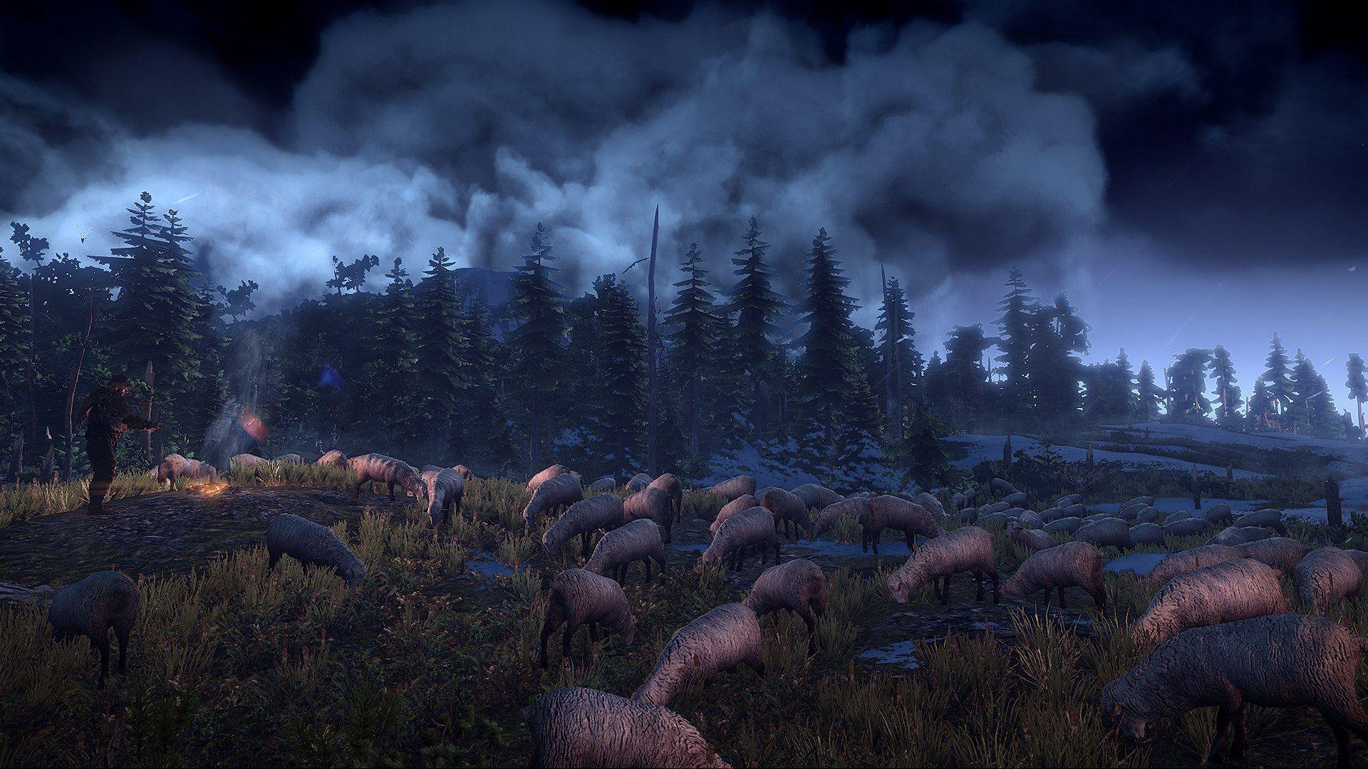 1920x1080 Picture The Witcher The Witcher 3: Wild Hunt 3D Graphics