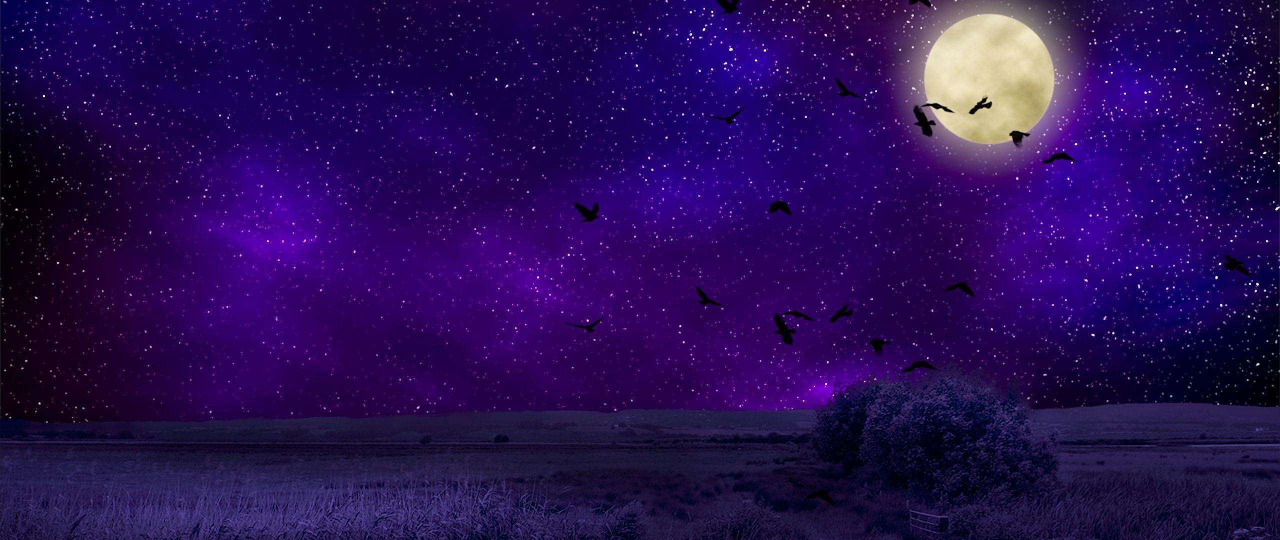 Cartoon Night Sky Wallpapers - Top Free Cartoon Night Sky Backgrounds