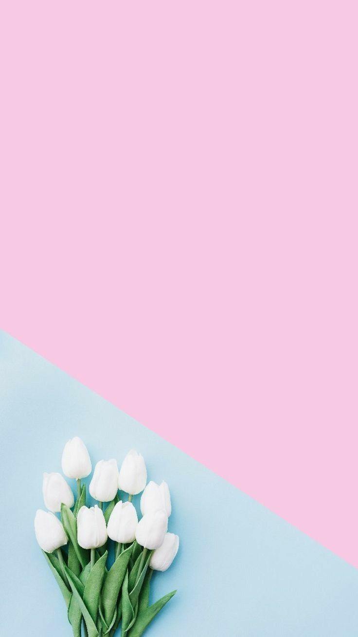736x1309 Wallpaper. Flower wallpaper, Blue wallpaper iphone