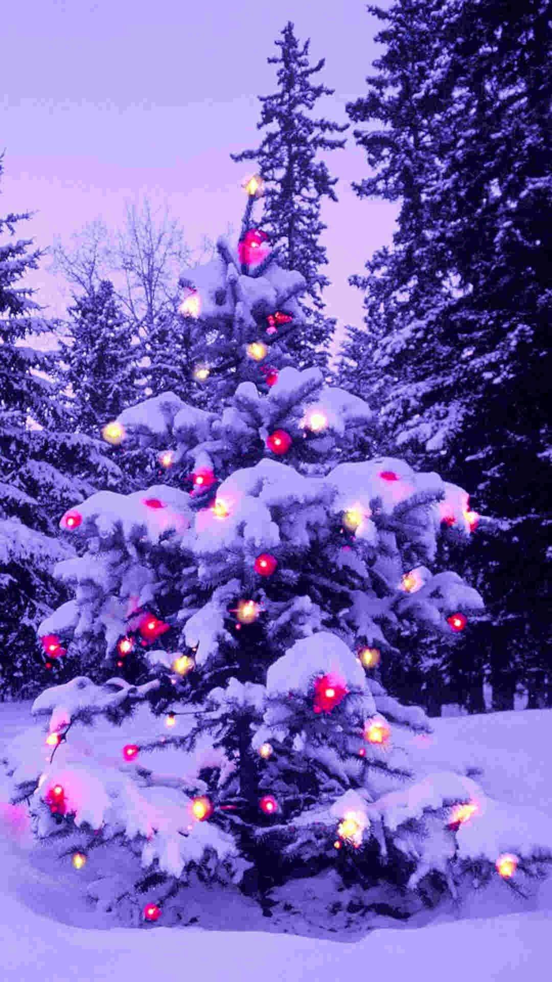 1080x1920 Christmas Wallpaper for iPhone