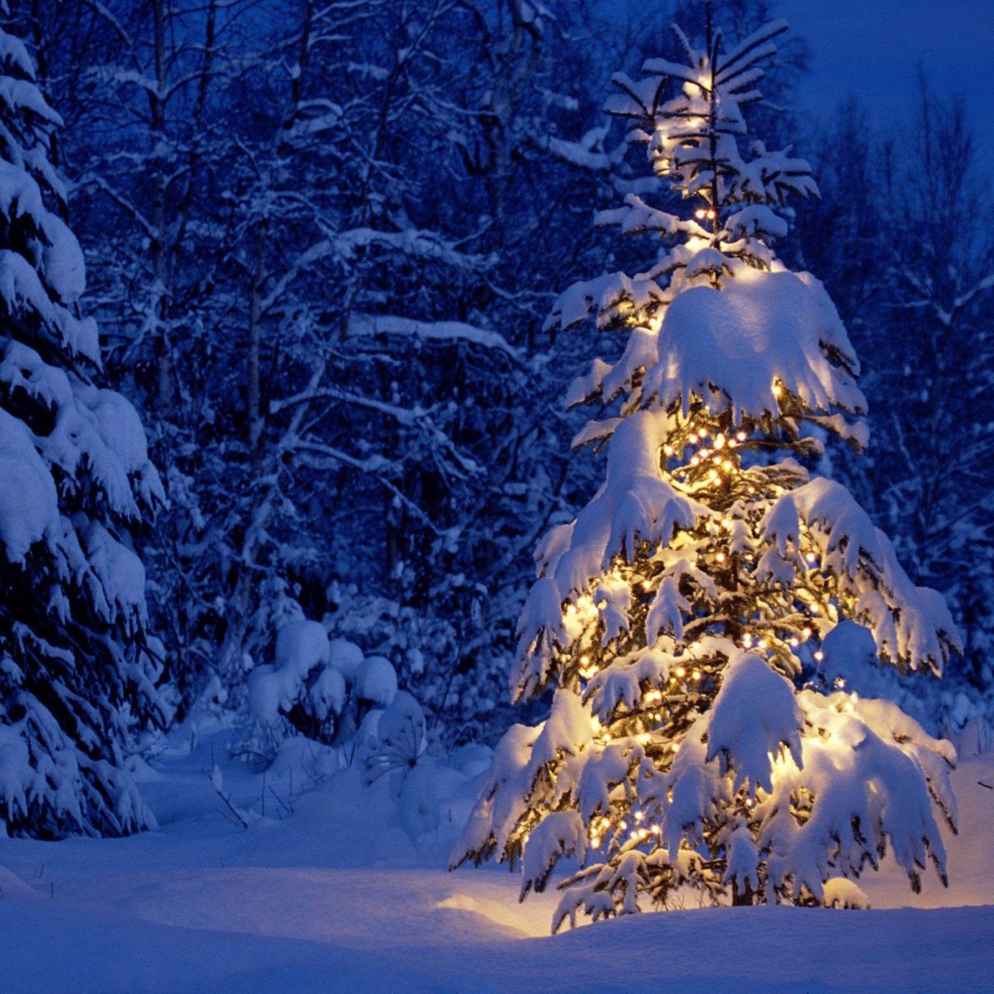 2048x2048 Animated Christmas Wallpaper for iPad
