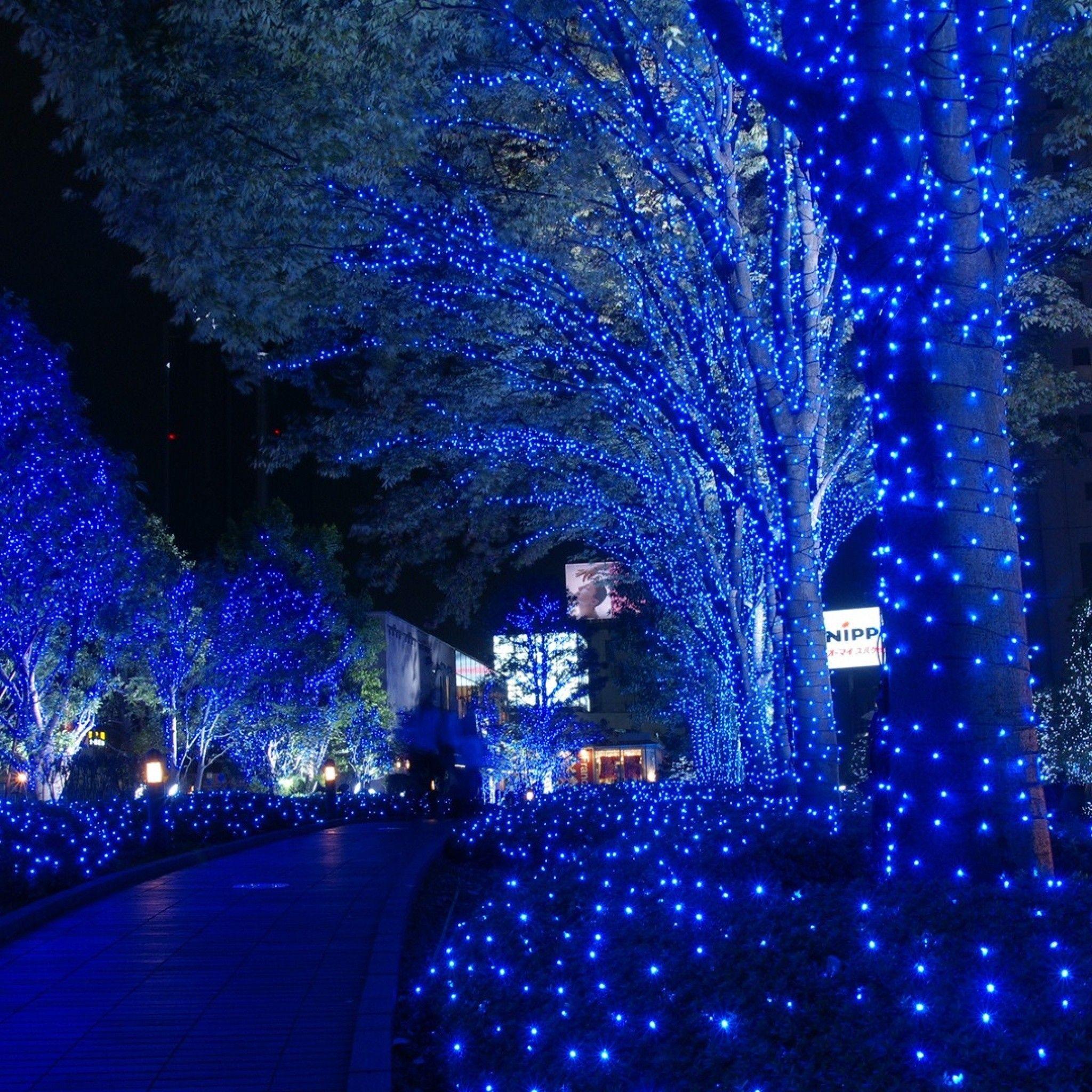 2048x2048 Live Christmas Wallpaper for iPad