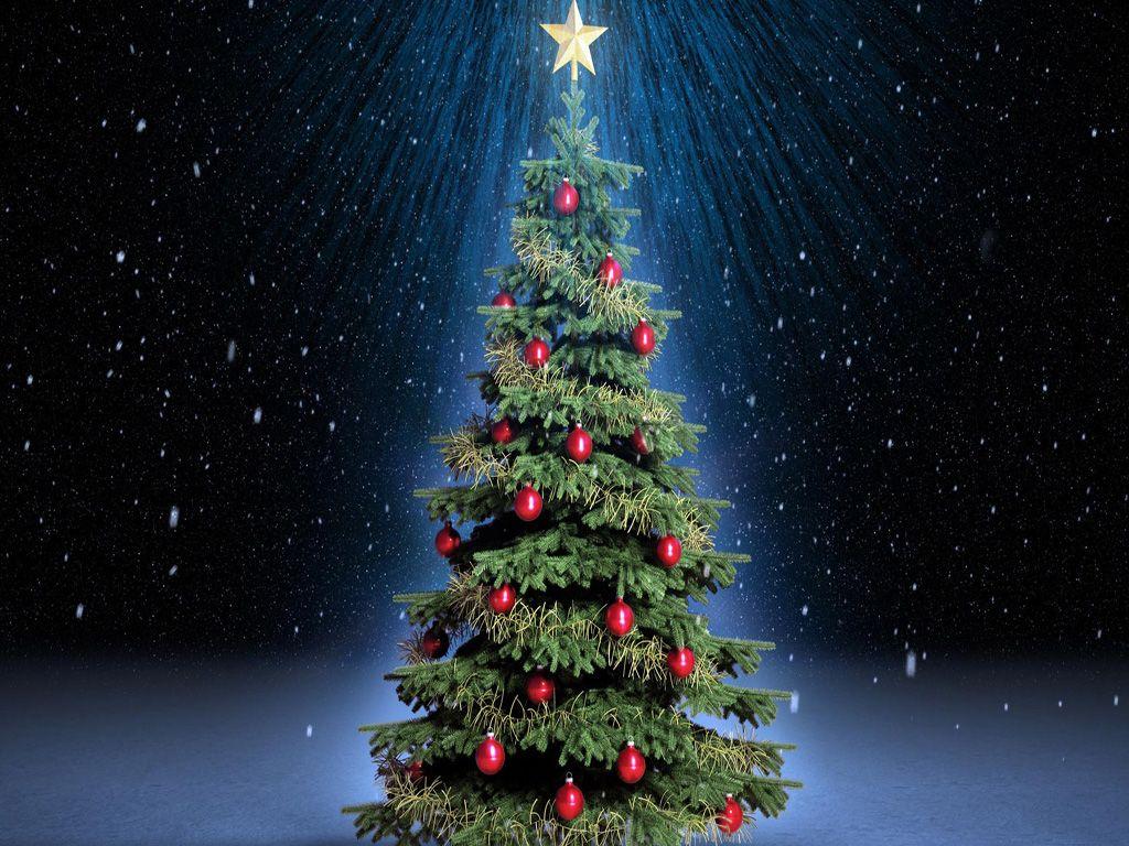1024x768 Free Download Christmas Tree HD Wallpaper for iPad
