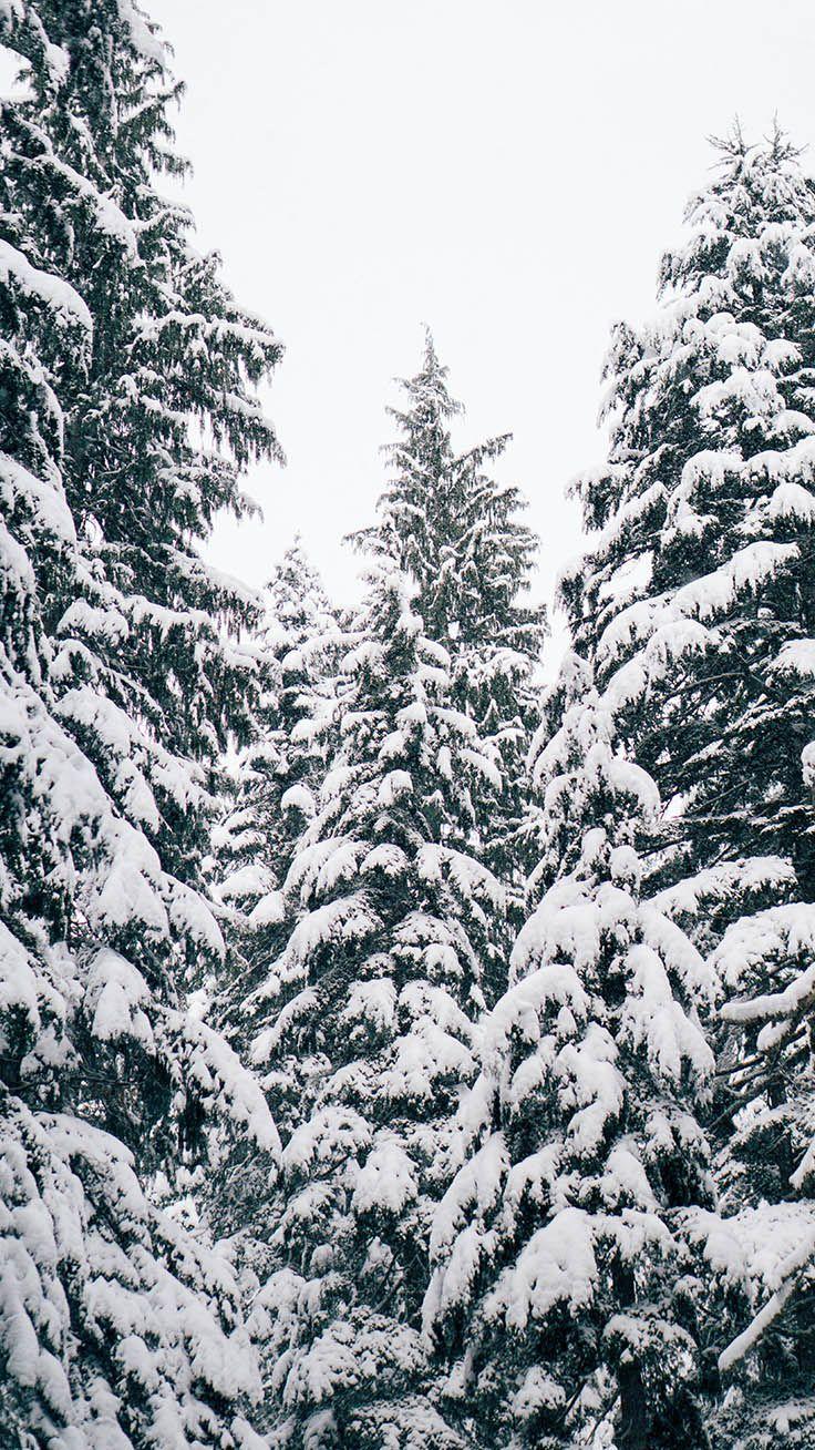 13 x Winter Landscapes iPhone Wallpaper Collection  Preppy Wallpapers