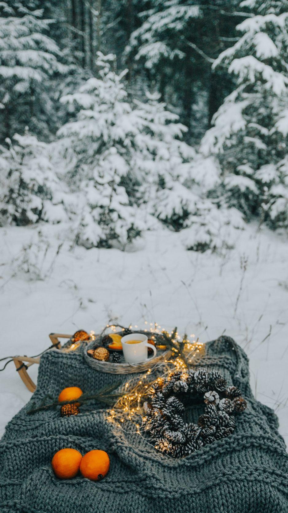 938x1668 Download wallpaper 938x1668 picnic, winter, christmas