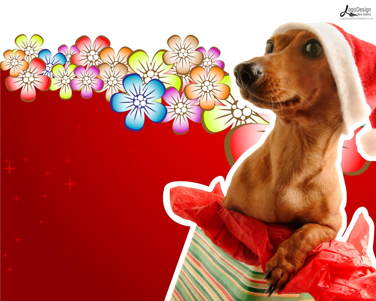 Funny Christmas Animal Wallpapers - Top Free Funny Christmas Animal