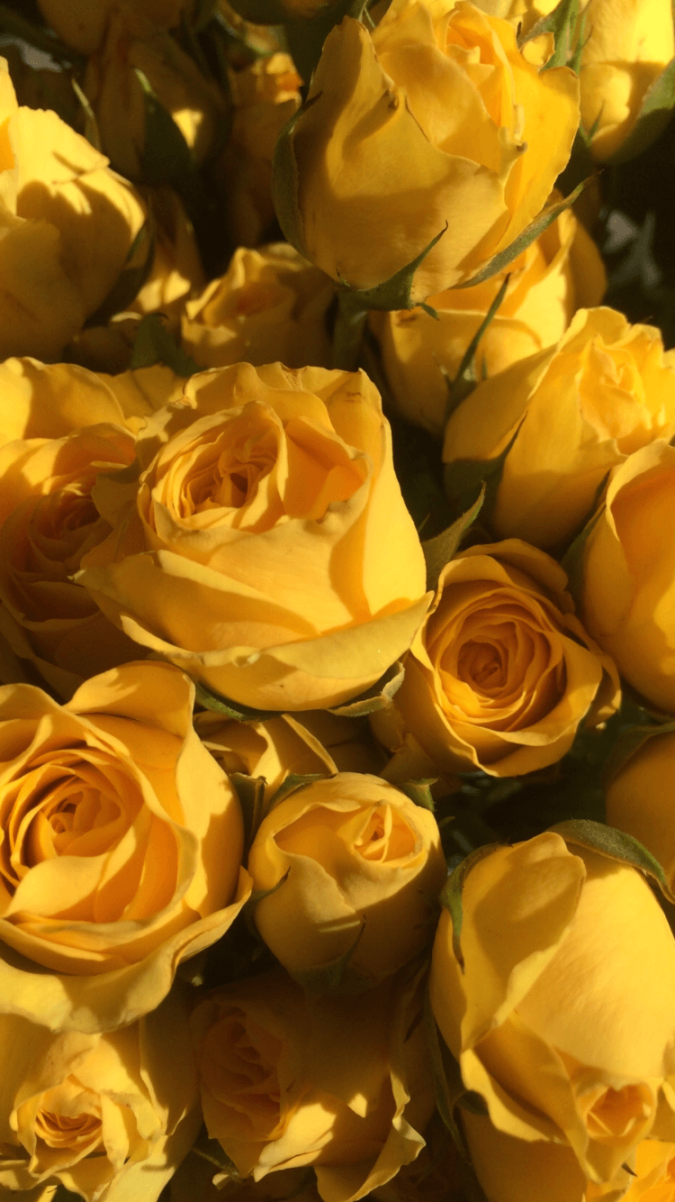 Hình nền hoa thẩm mỹ màu vàng 750x1334