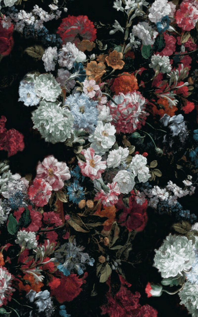 800x1280 Tải xuống miễn phí Jillian Halstead on Flowers Flowers
