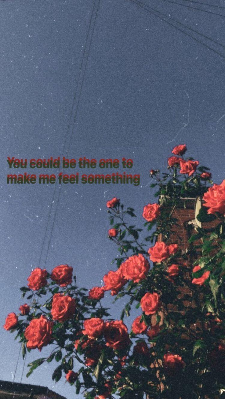 750x1330 Aesthetic Flowers Tumblr Quotes