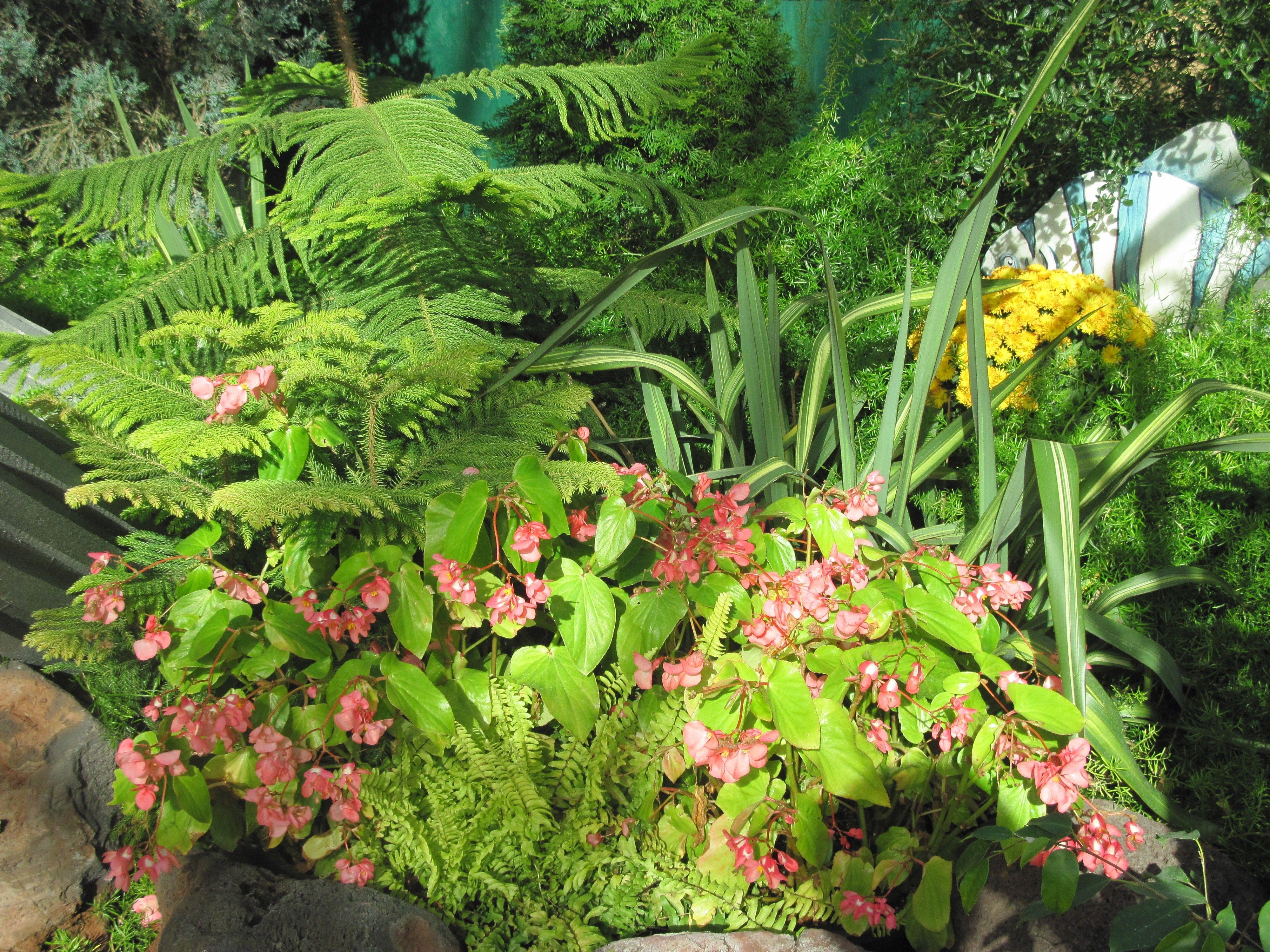 4000x3000 Pink Garden Photography Flowers Edmonton Yellow Nature