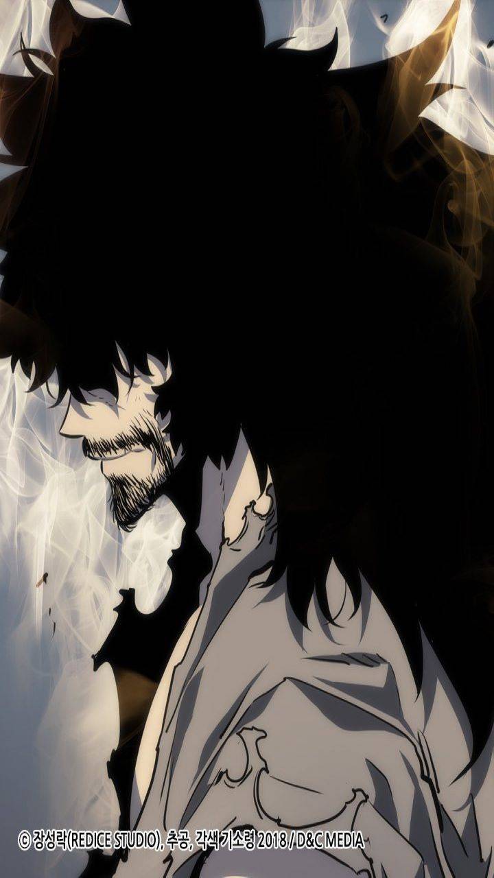 720x1280 Solo Leveling Wallpaper