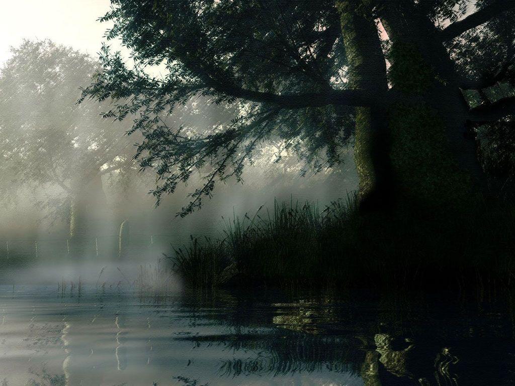 1024x768 Rainy Wallpaper