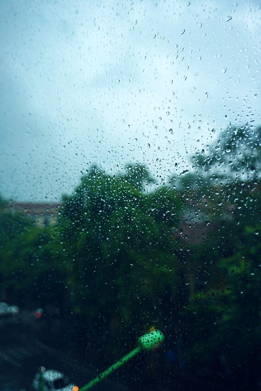 910x1365 HD wallpaper: vietnam, nhà sách cá chép, window, sad, rain, foggy