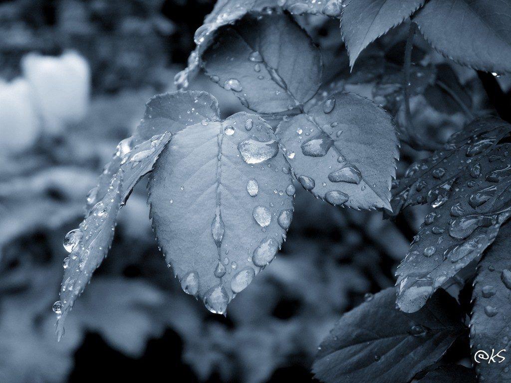 1024x768 Sad Wallpaper With Rain