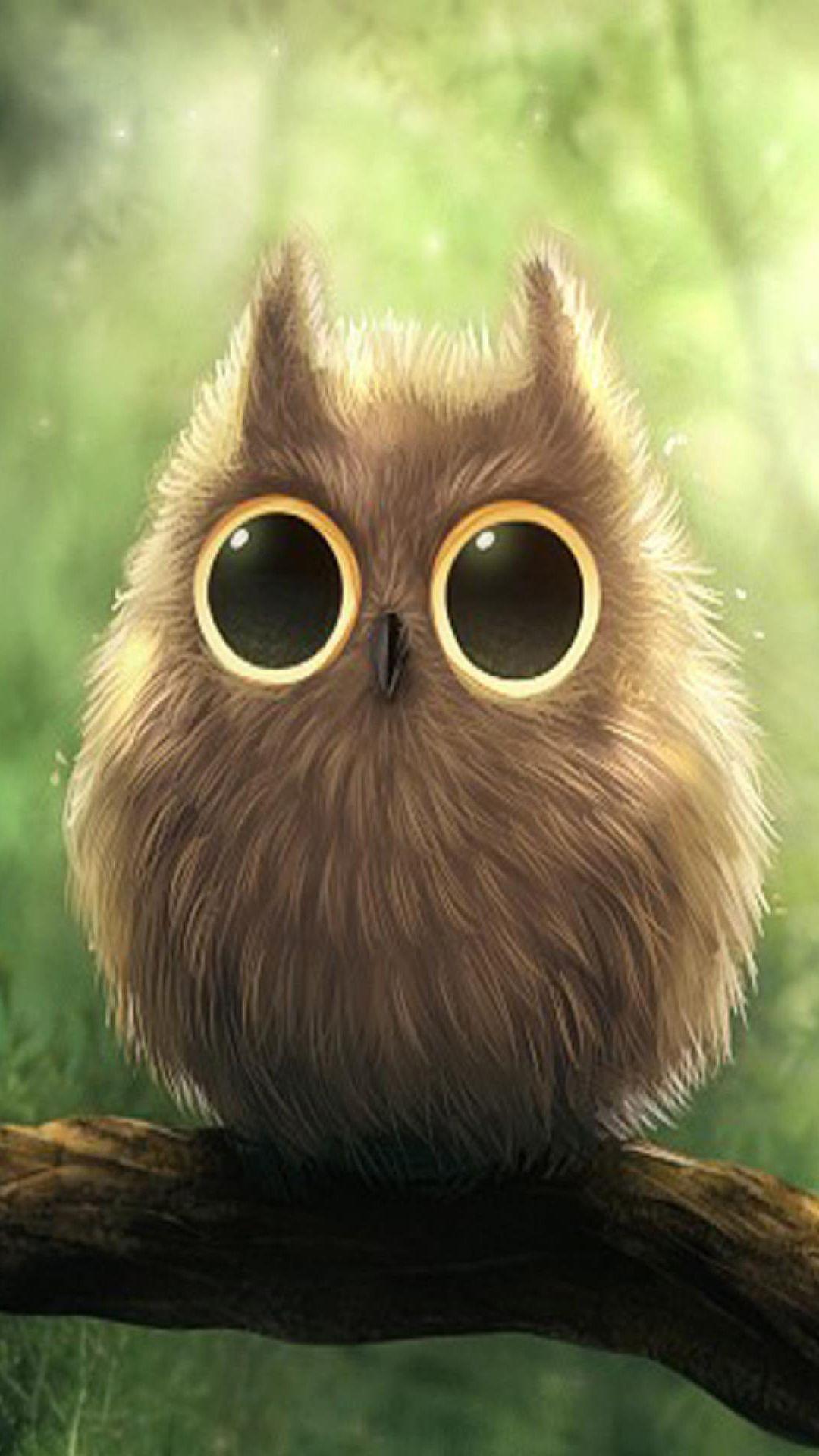 Hình nền HD 1080x1920 Cute Owl Big Eyes iPhone 6 Plus HD