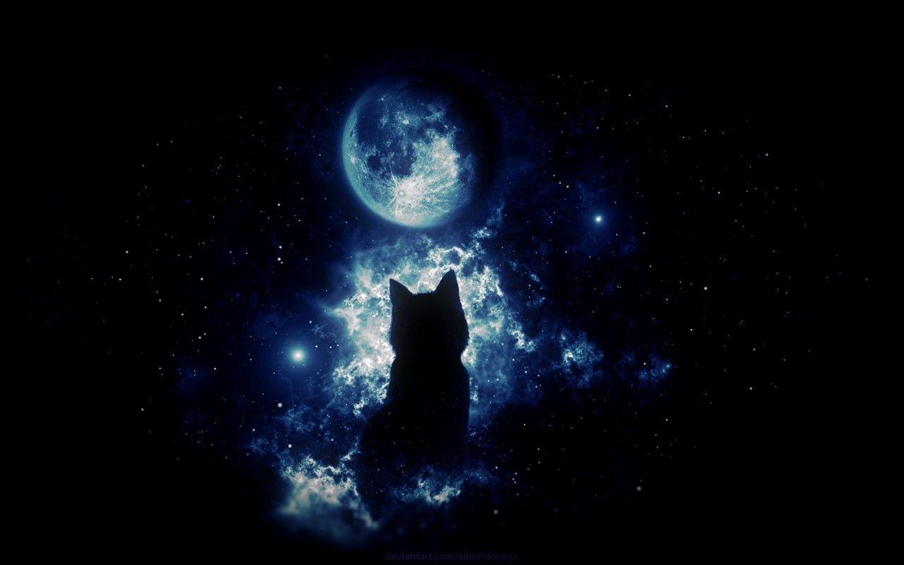 1280x800 Anime cat staring at the moon HD Wallpaper 1280x800