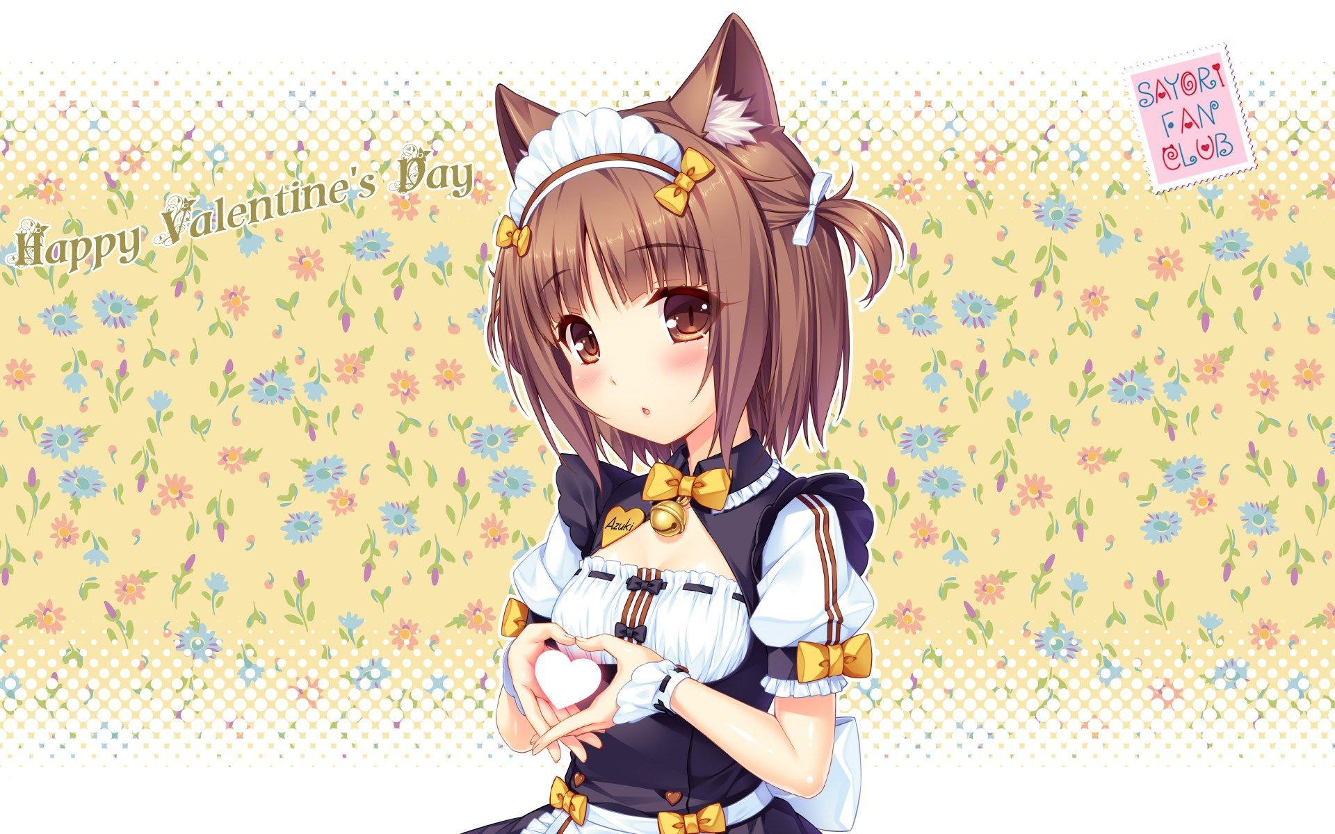 1920x1200 computer wallpaper for nekopara. Anime. Tokkoro