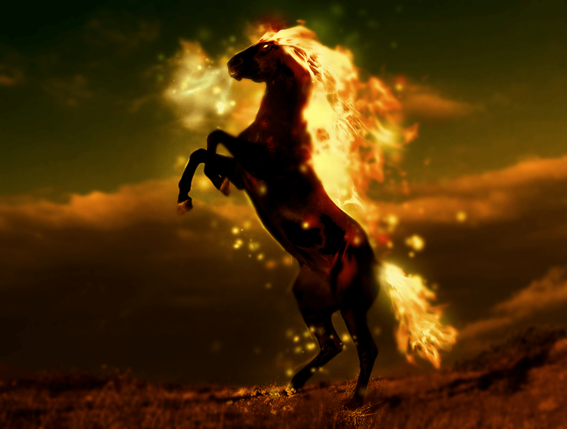Fire Horse Wallpapers Top Free Fire Horse Backgrounds Wallpaperaccess