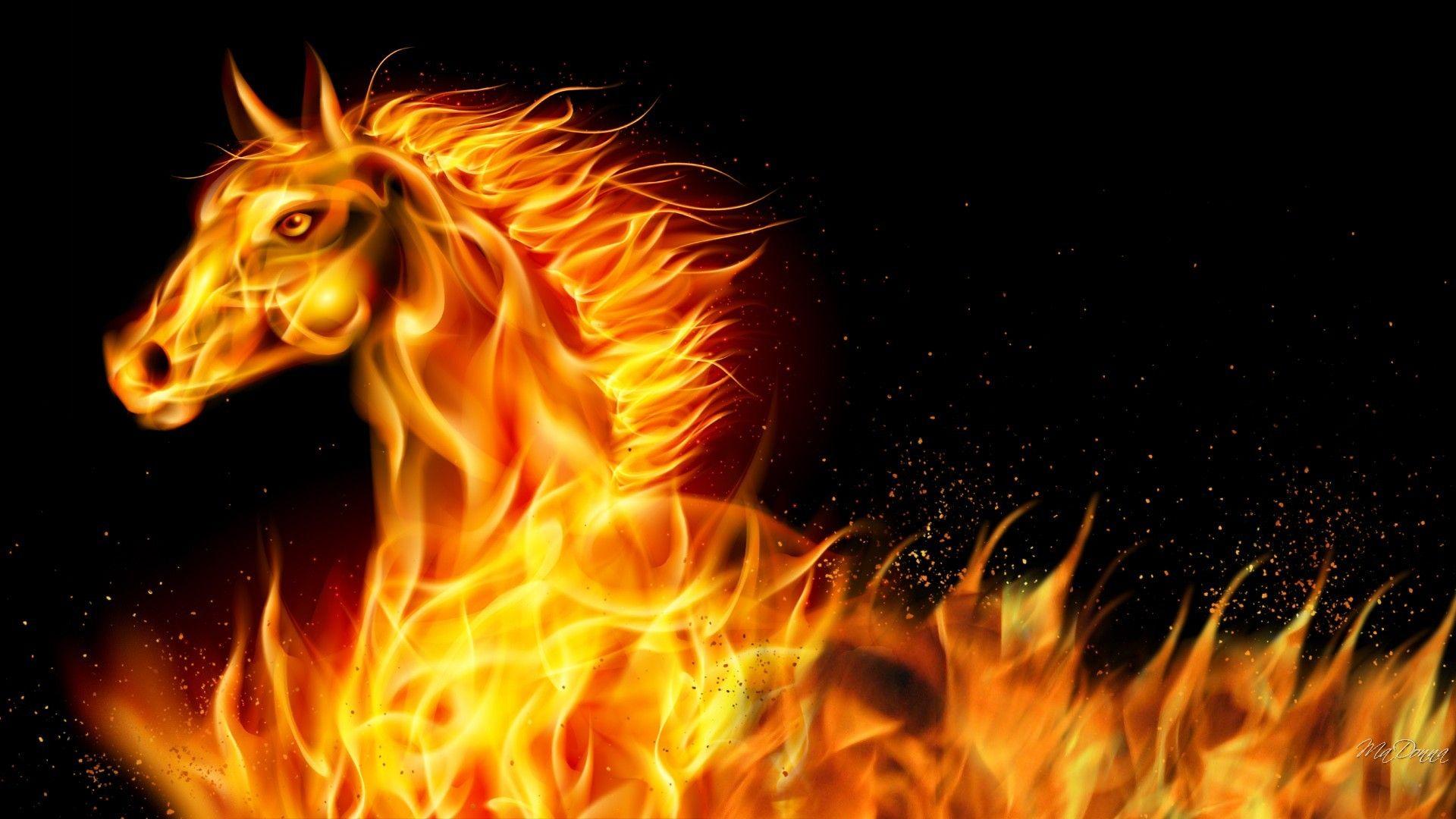 Fire Horse Wallpapers Top Free Fire Horse Backgrounds WallpaperAccess