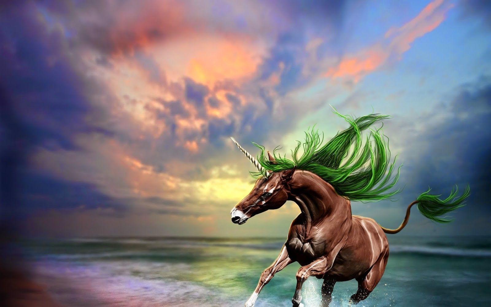 1600x1000 unicorns horse fantasy art digital art wallpaper