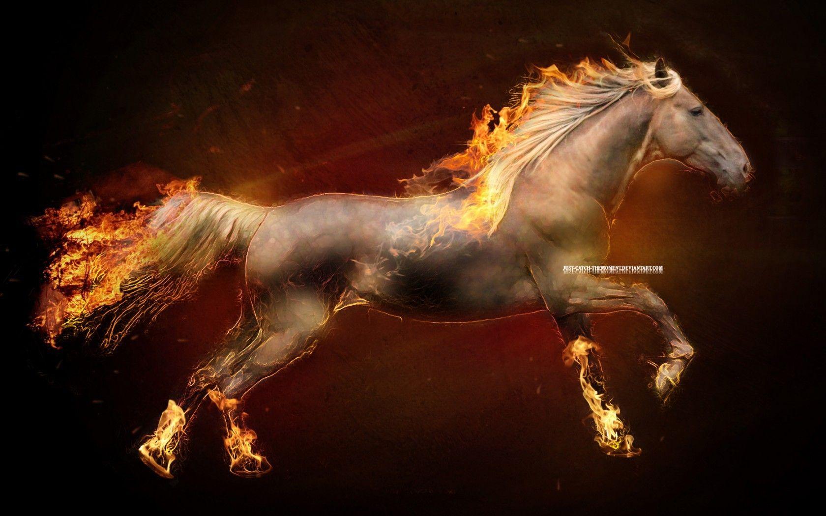 Fire Horse Wallpapers Top Free Fire Horse Backgrounds Wallpaperaccess