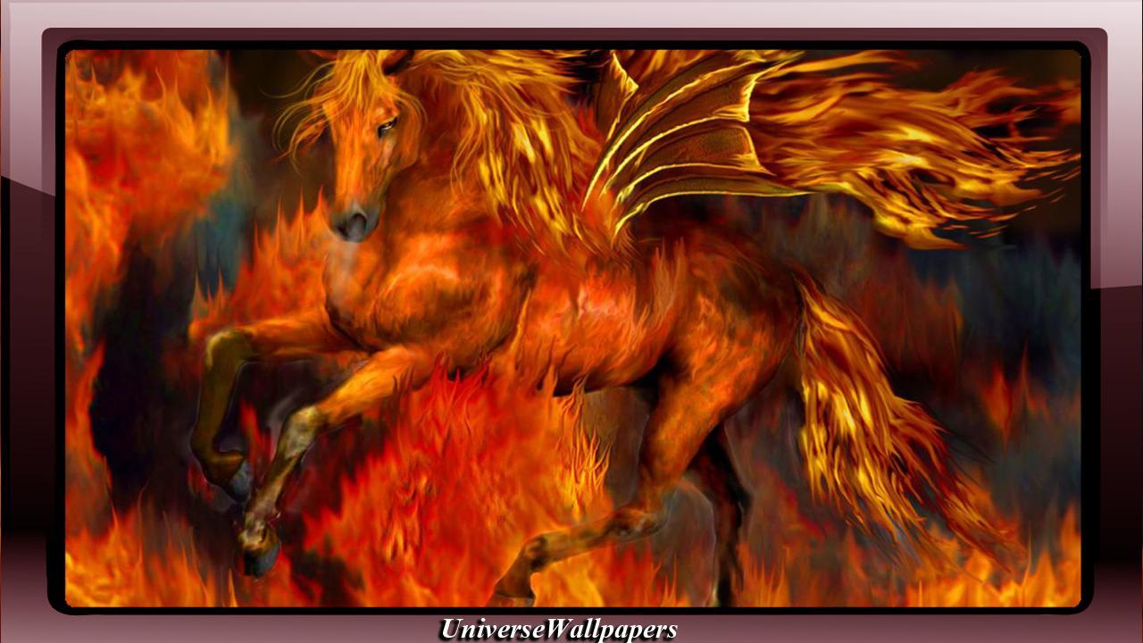 Flaming Horse Wallpapers Top Free Flaming Horse Backgrounds
