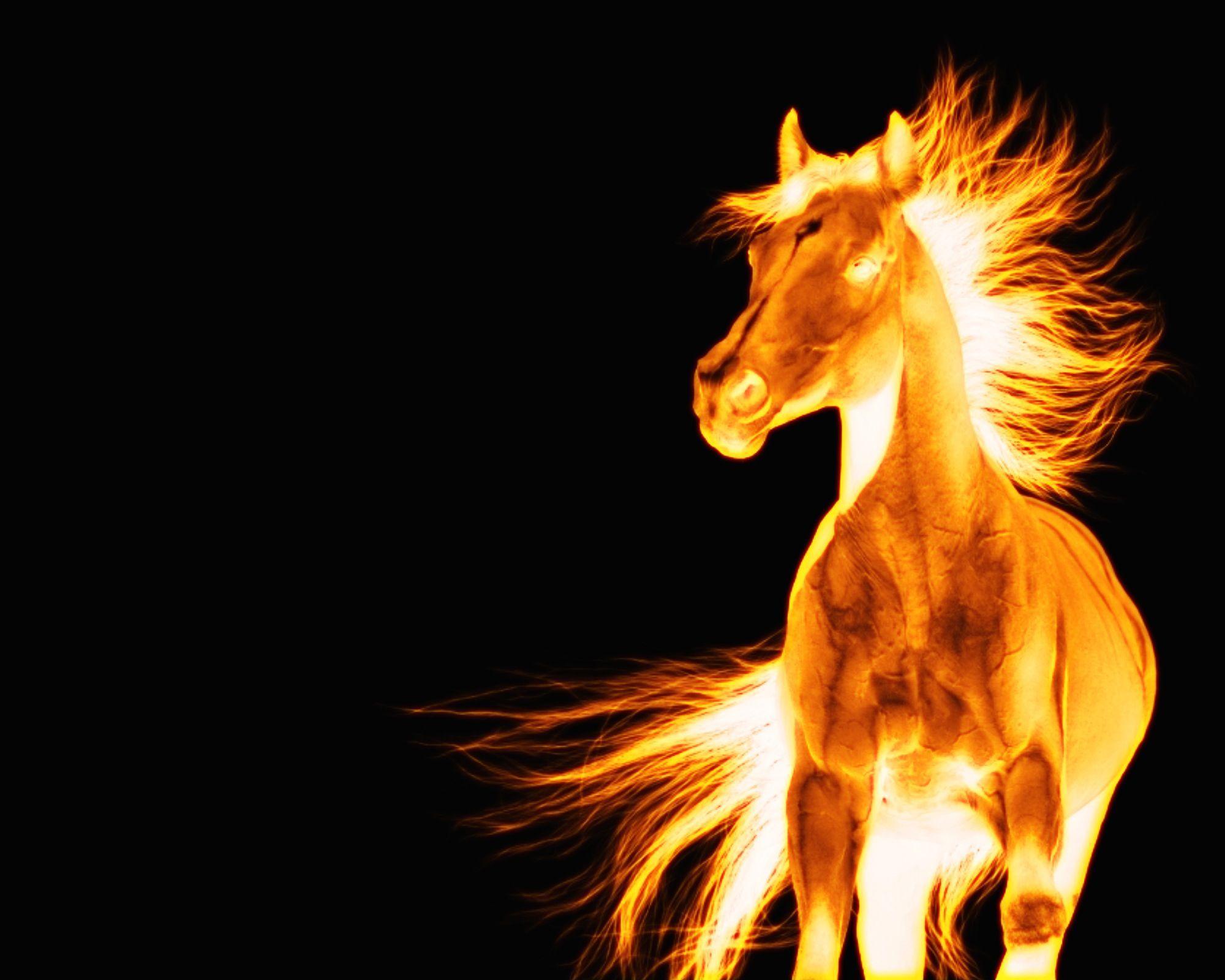 2000x1600 Fire Horse Wallpaper High Quality