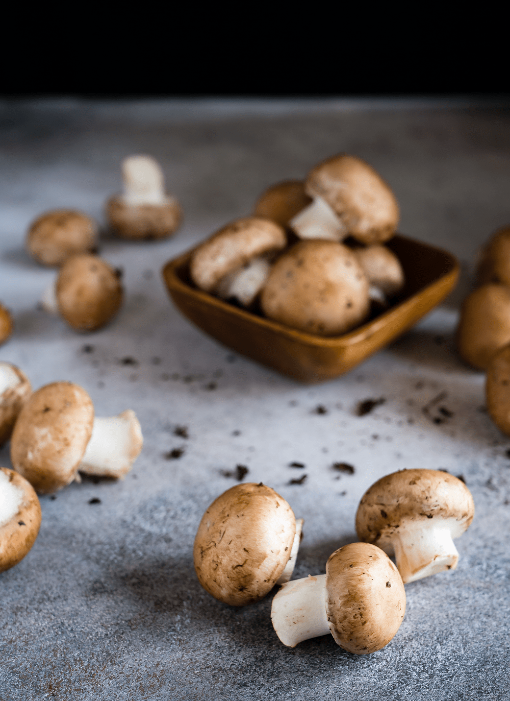 1000x1373 Mushroom Picture [HD]. Download Free Image