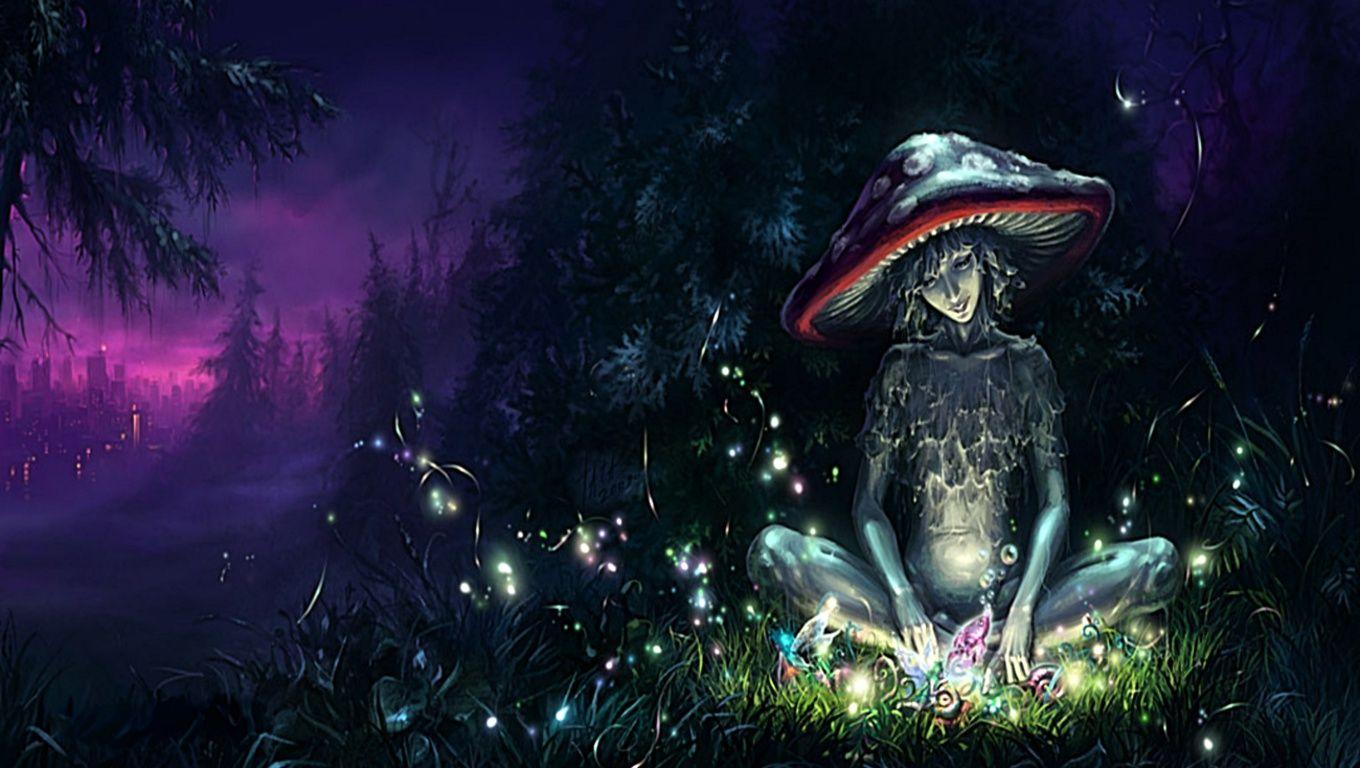1360x768 Mushroom Wallpaper HD