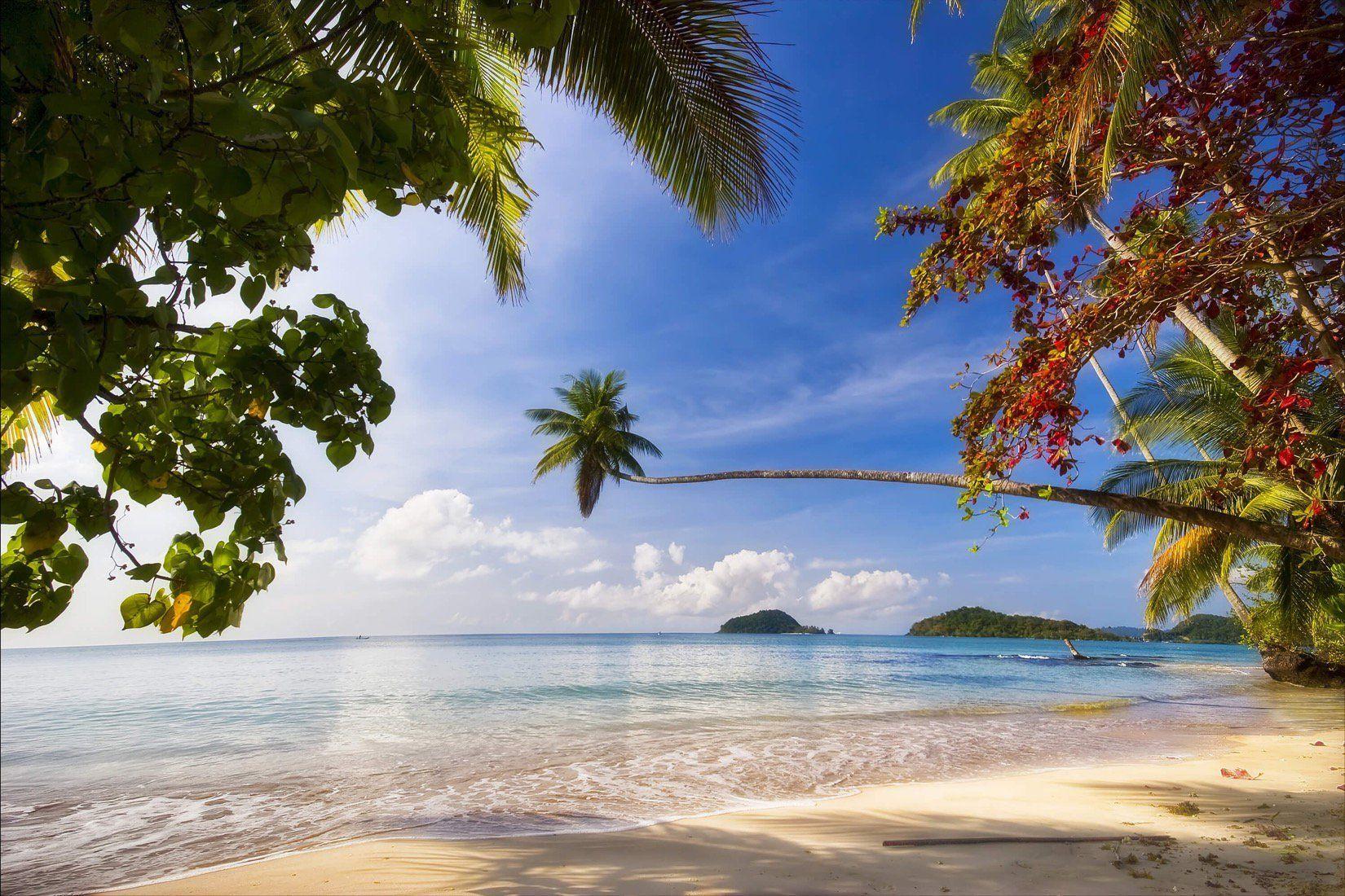 1650x1100 Caribbean Beach Wall Wallpaper Wall Mural. MuralsWallpaper.co.uk