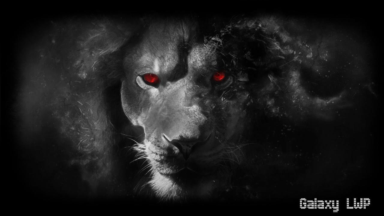 1280x720 Black Lion Wallpaper for Android