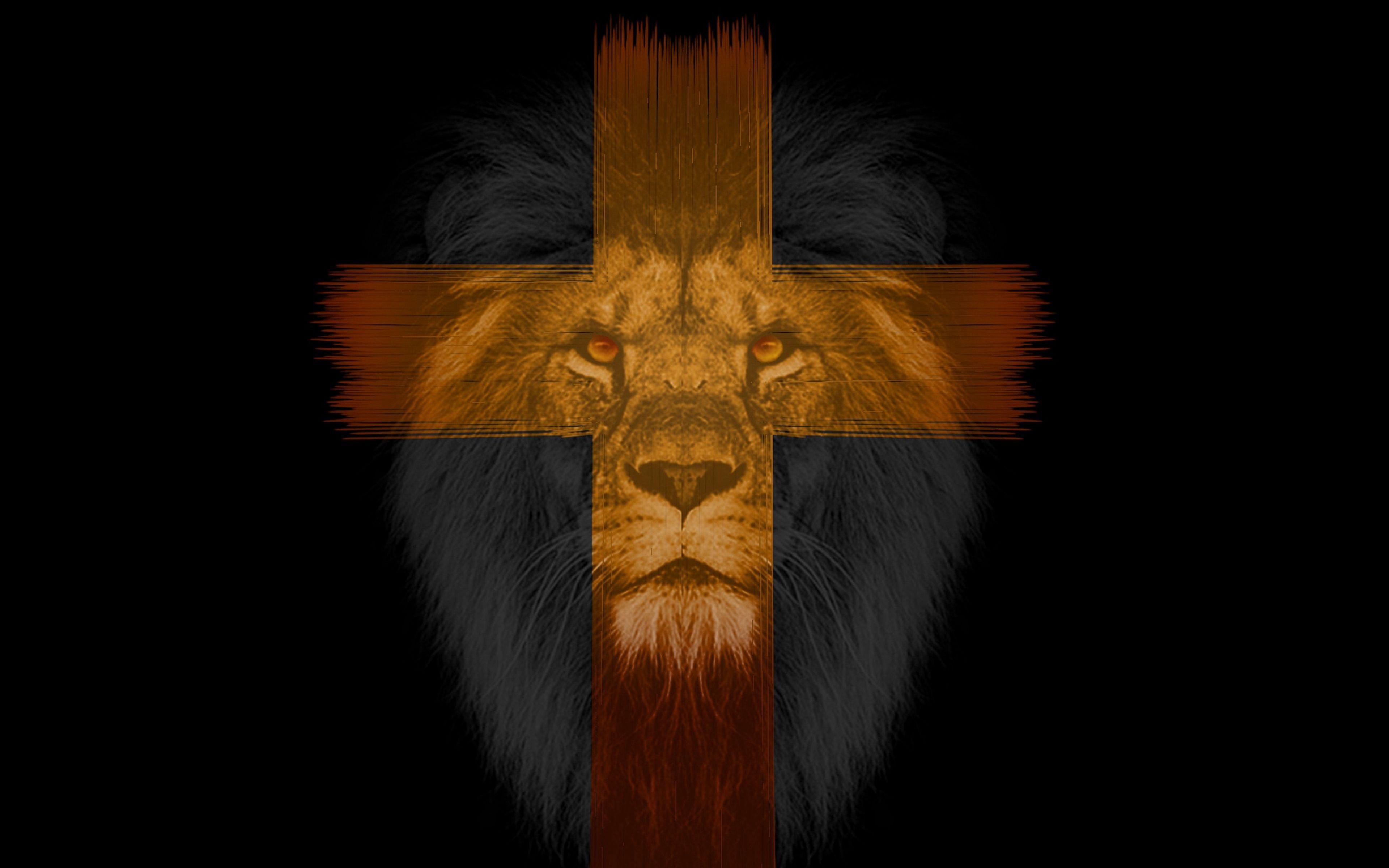 3840x2400 Download wallpaper 3840x2400 lion, cross, muzzle, dark 4k