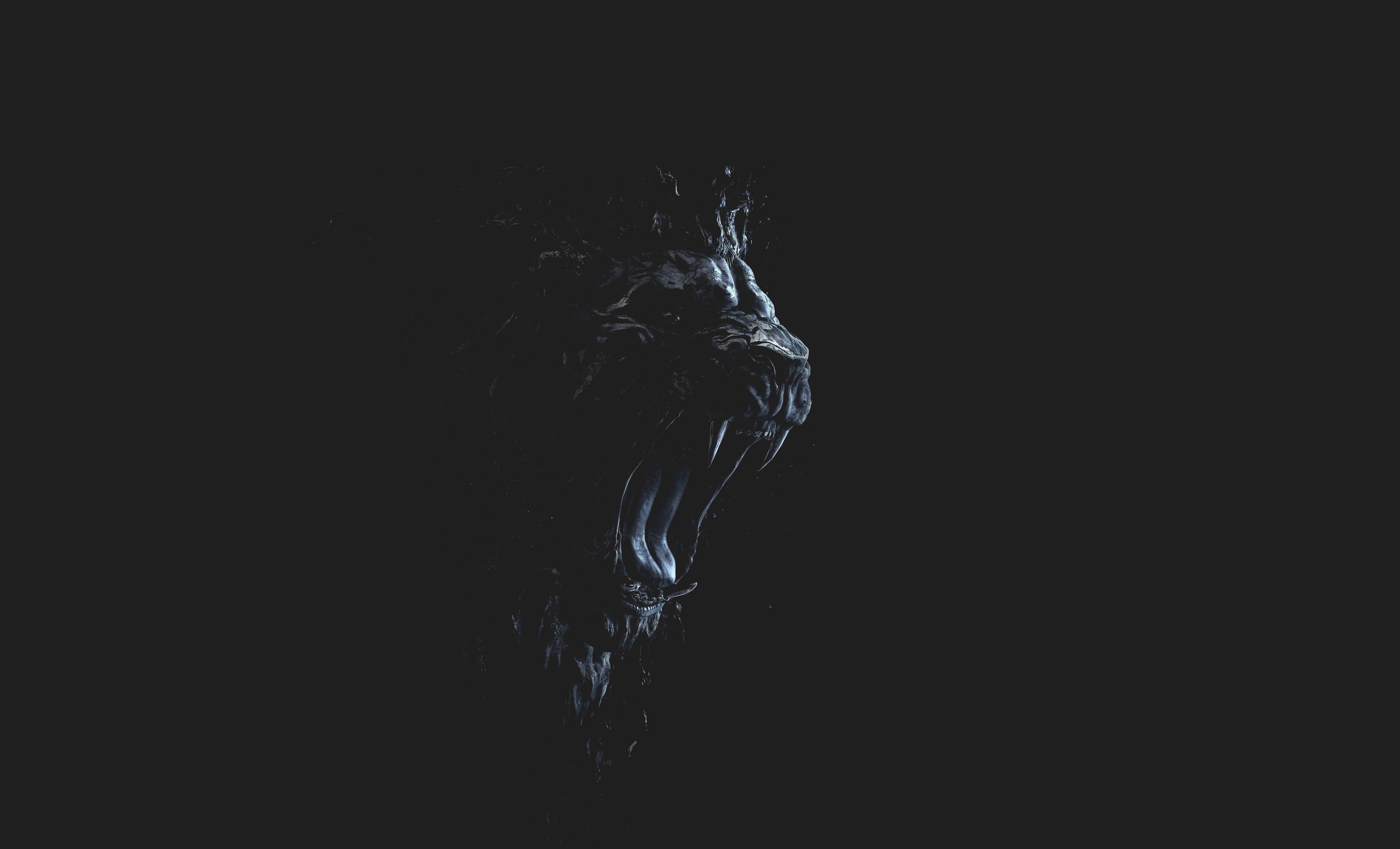 5553x3366 simple background simple lion wallpaper